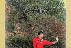 武术基本功教学视频,从基础到精通的修炼之路