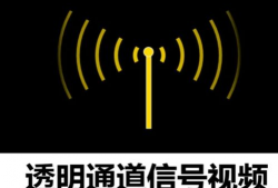 视频信号,视频信号背后的精彩故事